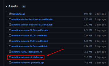 Hướng dẫn sử dụng Sunshine Moonlight để chơi game